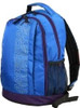 American Tourister Backpack