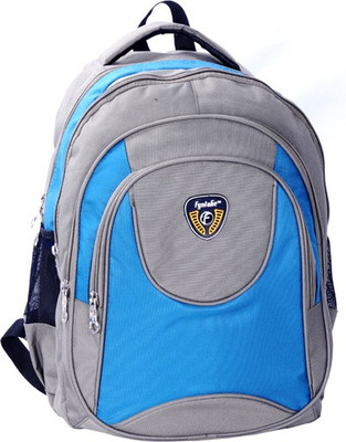 33% OFF on Fyntake BNG College 22 L Backpack Grey, Royal Blue, Size - 450