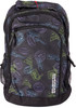 American Tourister Backpack
