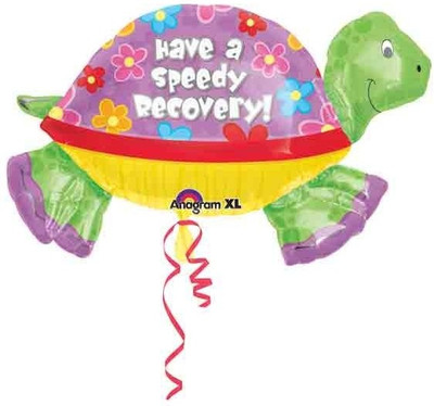 Anagram Speedy Recovery Turtle 37