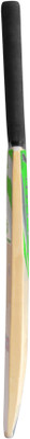 SAHIL PUMA Poplar Willow Cricket  Bat (31 inch, 900 g) 