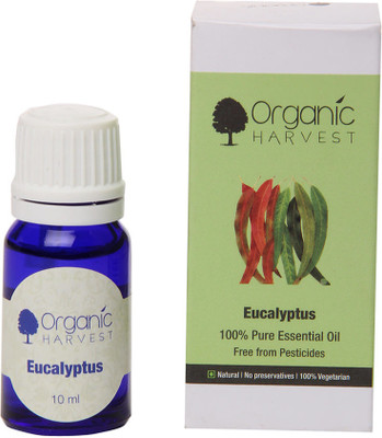 6% OFF on Organic Harvest Eucalyptus Oil 10 ml 6% OFF on Organic Harvest Eucalyptus Oil 10 ml