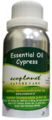 Ecoplanet Essential Oil of Cypress 100 g Ecoplanet Essential Oil of Cypress 100 g