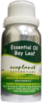 Ecoplanet Essential Oil of Bayleaf 50 g Ecoplanet Essential Oil of Bayleaf 50 g