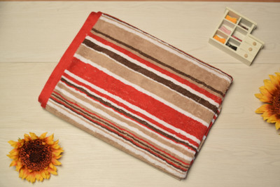 60% OFF on Enfin Homes Cotton Bath Towel 60% OFF on Enfin Homes Cotton Bath Towel