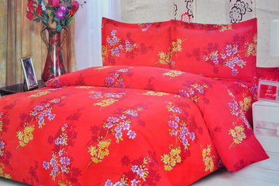 30% OFF on Style n Comfort Polycotton Printed Double Bedsheet Double Bedsheet, Two Pillow Covers, Multicolor