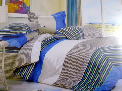 22% OFF on North West Polycotton Printed Double Bedsheet 1 Bedsheet, 2 Pillow Covers, Blue, White