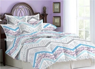 10% OFF on Bombay Dyeing Cotton Printed Double Bedsheet 2 Pillow Covers, 1 Bedsheet