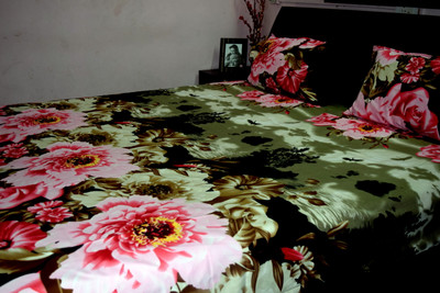 21% OFF on Rajasthani Decor Cotton Printed Double Bedsheet