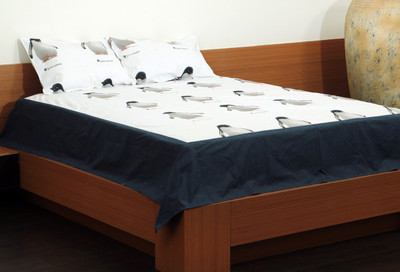 50% OFF on Flazee Cotton Printed King Bedsheet 1 BedSheet, 2Pillow Cover, White, Black