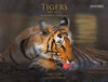 Buy Book Tigers: My Life Ranthambhore and Beyond by 