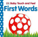 First Words by DK Publishing