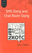 SMS Slang and Chat Room Slang by Terry O'brien