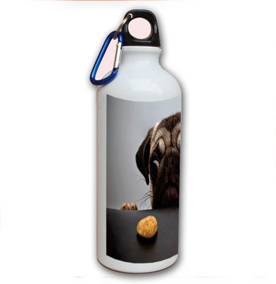 70% OFF on Amy Pug Puppy Dog Cute 500 ml Bottle 70% OFF on Amy Pug Puppy Dog Cute 500 ml Bottle