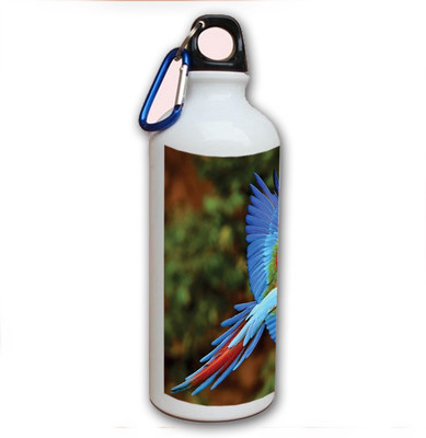 75% OFF on Amy Beauy Parrot Flying 500 ml Bottle
