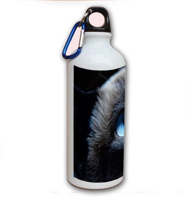 70% OFF on Amy Blue Eyes Cat 500 ml Bottle 70% OFF on Amy Blue Eyes Cat 500 ml Bottle