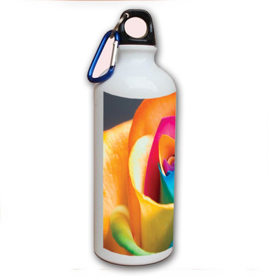 70% OFF on Amy Paper Rose 500 ml Bottle 70% OFF on Amy Paper Rose 500 ml Bottle