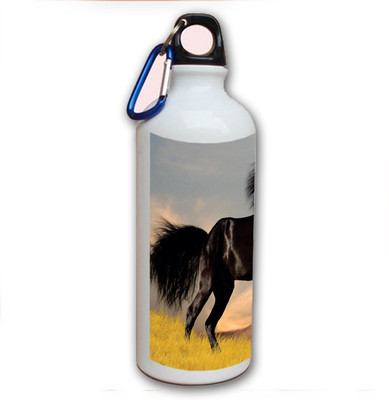 70% OFF on Amy Black Beauty Horse 500 ml Bottle 70% OFF on Amy Black Beauty Horse 500 ml Bottle