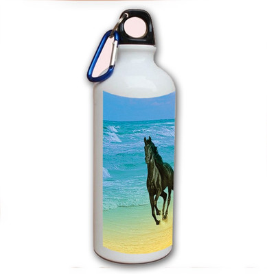 75% OFF on Amy Horse Beach Side 500 ml Bottle 75% OFF on Amy Horse Beach Side 500 ml Bottle