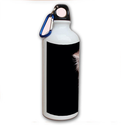 70% OFF on Amy Little Cat Cute 500 ml Bottle