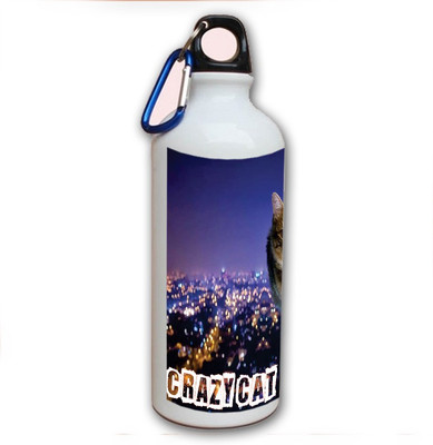70% OFF on Amy Crazy Cat City 500 ml Bottle 70% OFF on Amy Crazy Cat City 500 ml Bottle