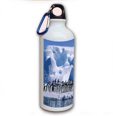 70% OFF on Amy Antartica Penguin Cute Little 500 ml Bottle