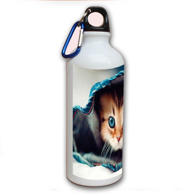 70% OFF on Amy Cute Cat With Blue Eyes 500 ml Bottle 70% OFF on Amy Cute Cat With Blue Eyes 500 ml Bottle