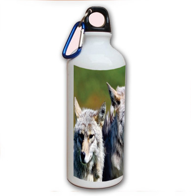 75% OFF on Amy Three Wolves Wild 500 ml Bottle