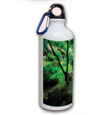 75% OFF on Amy Forest Scenery 500 ml Bottle 75% OFF on Amy Forest Scenery 500 ml Bottle