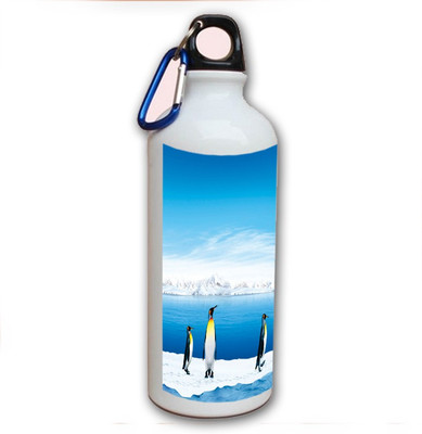 75% OFF on Amy Penguin Animal Cute 500 ml Bottle 75% OFF on Amy Penguin Animal Cute 500 ml Bottle