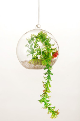 Importwala Hanging Ball Big Glass Tealight Holder Clear, Pack of 1 Importwala Hanging Ball Big Glass Tealight Holder Clear, Pack of 1