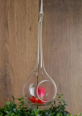 Importwala Glass Tealight Holder Clear, Pack of 1 Importwala Glass Tealight Holder Clear, Pack of 1