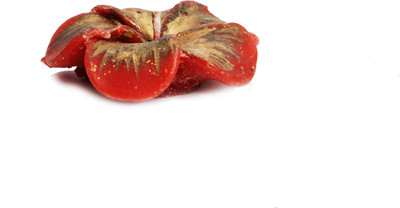 Artistique Floating Gold Red Champa Flower Candle Artistique Floating Gold Red Champa Flower Candle