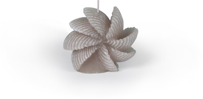 Manulena Wheel Shell Stone 140g Candle Manulena Wheel Shell Stone 140g Candle