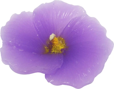 24% OFF on AadiShakti Set of 4 Purple Flower Shaped Aromatics Candle 24% OFF on AadiShakti Set of 4 Purple Flower Shaped Aromatics Candle