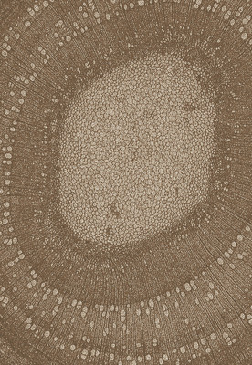 21% OFF on Galicha Brown Polypropylene Area Rug