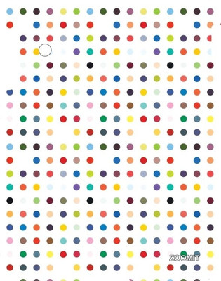 34% OFF on Zoomit Back Cover for Apple iPad 3, Apple iPad 4