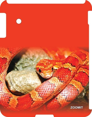 34% OFF on Zoomit Back Cover for Apple iPad 3, Apple iPad 4