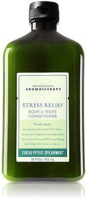 Bath & Body Works Stress Relief Eucalyptus Spearmint Conditioner Bath & Body Works Stress Relief Eucalyptus Spearmint Conditioner