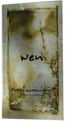 Wen Cleansing Conditioner Travel Packet Wen Cleansing Conditioner Travel Packet