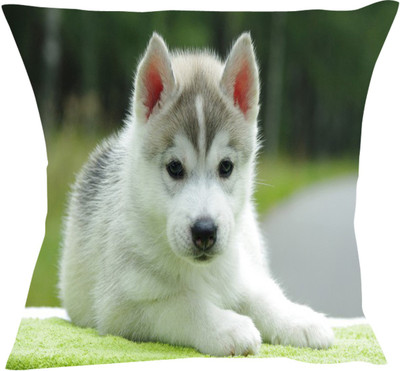 68% OFF on Fairprice Printed Cushions Cover 68% OFF on Fairprice Printed Cushions Cover