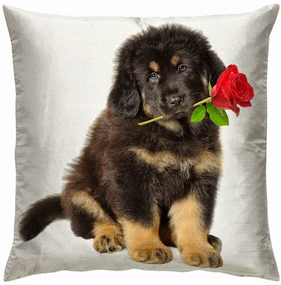 Right Graphic Cushions Cover