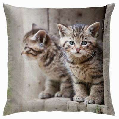 Right Graphic Cushions Cover