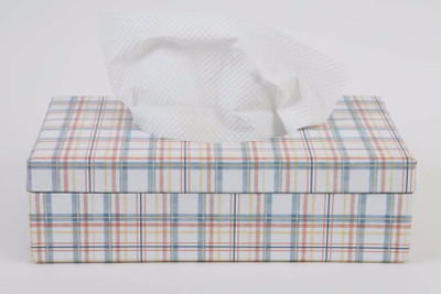The Wishing Chair 1 Compartments Card Board Primrose Hill Tissue Box (Checks) (multicolor)