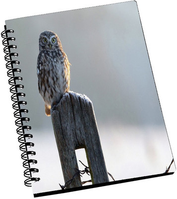 74% OFF on AMY Big Eye grey Owl A5 Notebook Spiral Bound 74% OFF on AMY Big Eye grey Owl A5 Notebook Spiral Bound