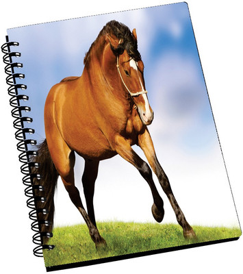 69% OFF on AMY Brown Horse A5 Notebook Spiral Bound
