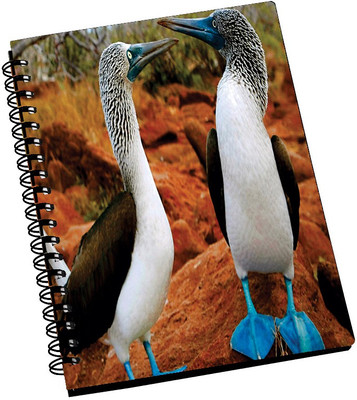 69% OFF on AMY Cute Little Animals A5 Notebook Spiral Bound 69% OFF on AMY Cute Little Animals A5 Notebook Spiral Bound