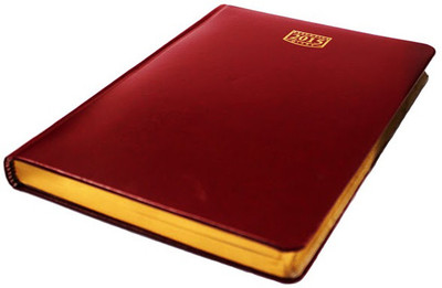 Asian Agencies One Date Nescafe B5 Diary Hard Bound Asian Agencies One Date Nescafe B5 Diary Hard Bound