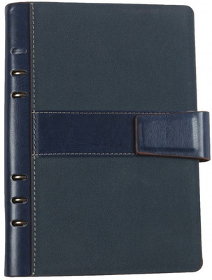 Viva Global Fortuna B5 Notebook Ring Bound