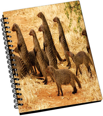 69% OFF on AMY Meerkat A5 Notebook Spiral Bound 69% OFF on AMY Meerkat A5 Notebook Spiral Bound